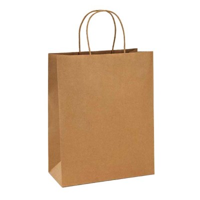 Wholesale Verified Factory Fast Food Carrier Take Away Food Packaging Paper Bag With Twisted Paper Handles